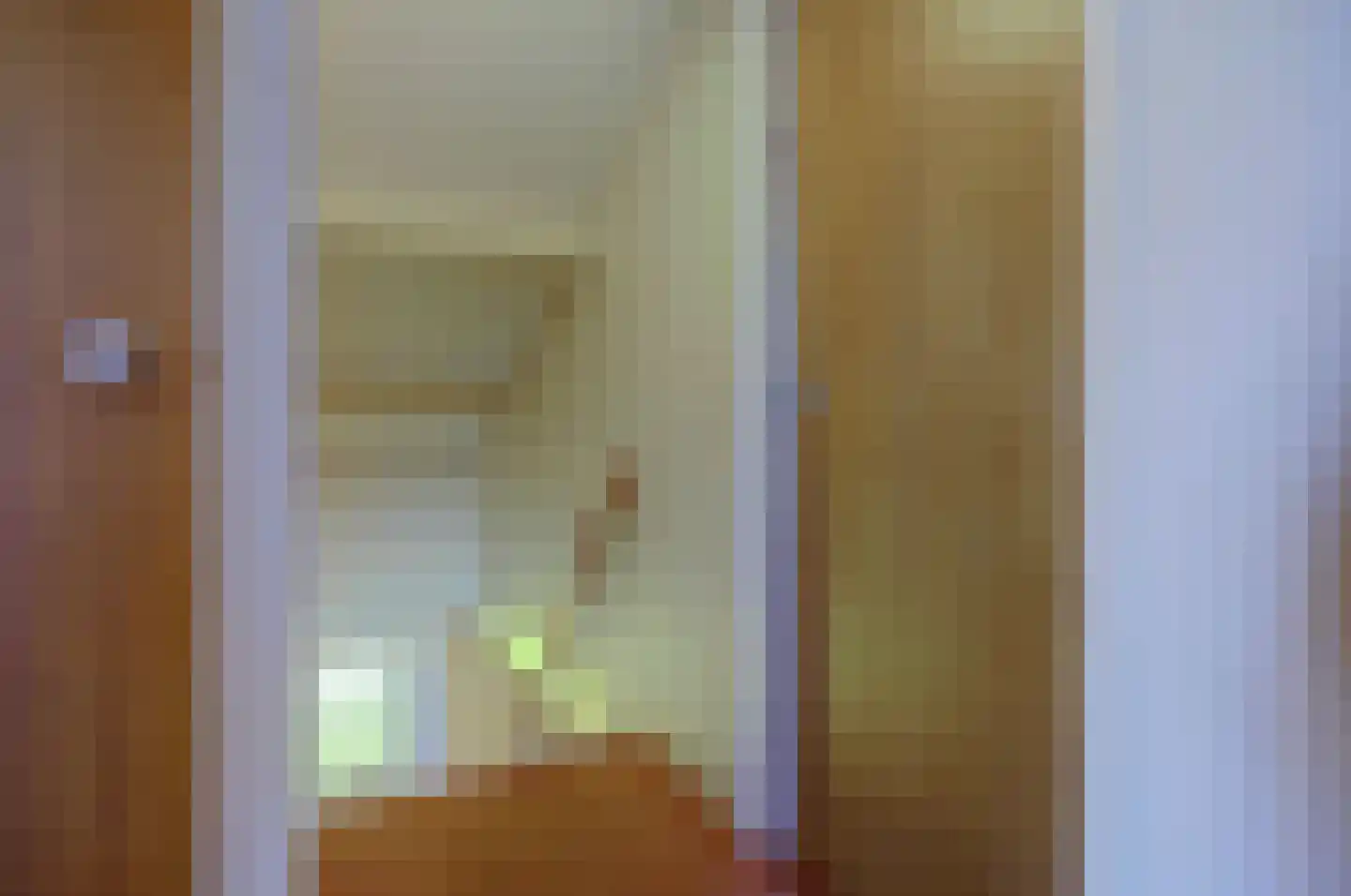 Schefferweg 5 De Lier thumbnail 23