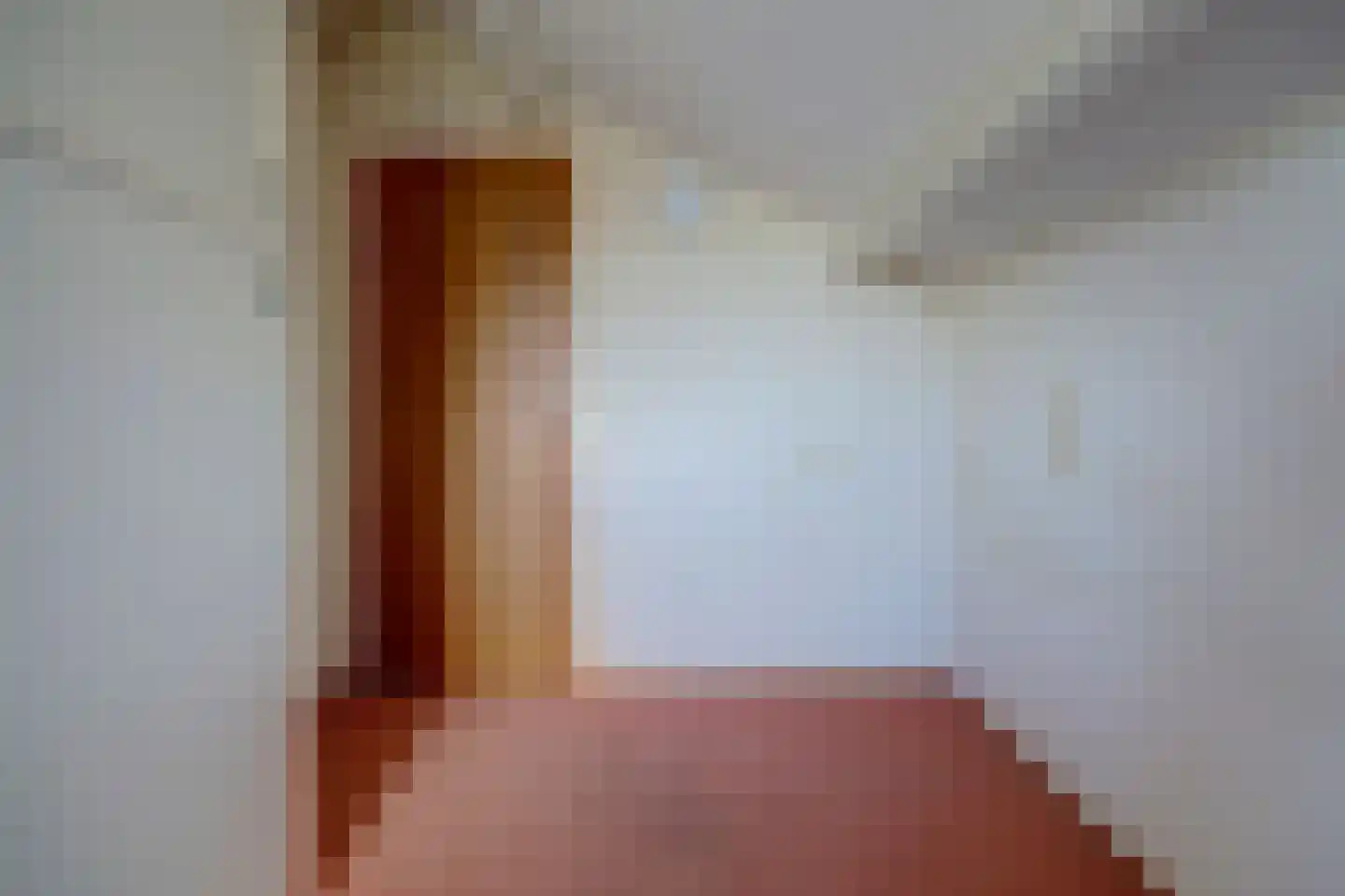 Schefferweg 5 De Lier thumbnail 29