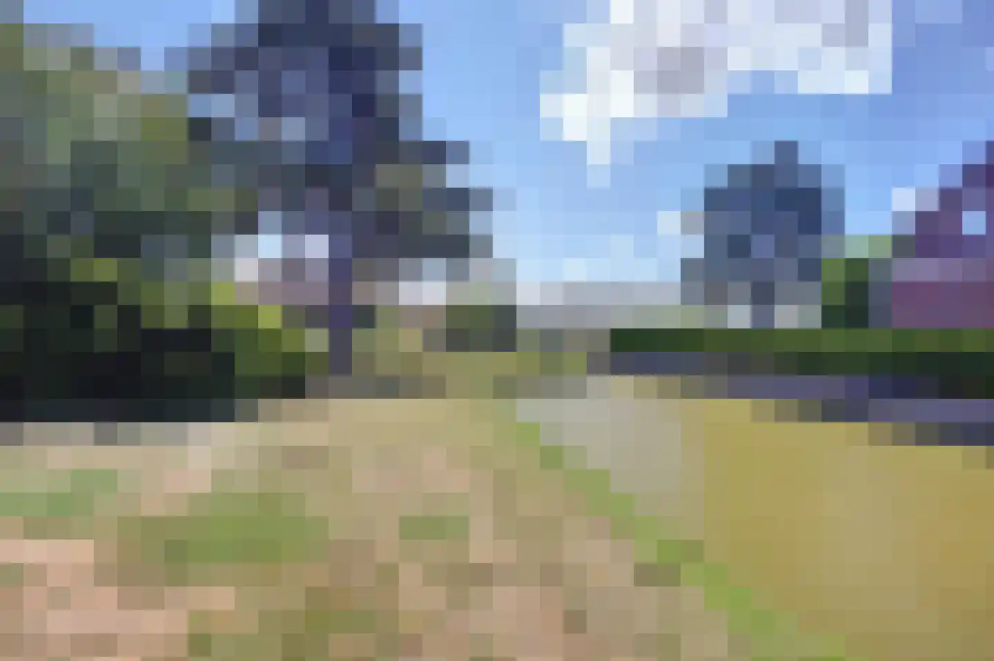 Schefferweg 5 De Lier thumbnail 41