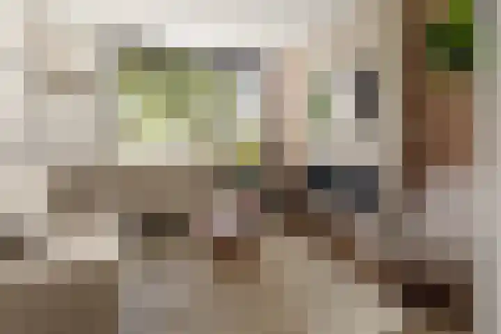 Schegcamp 11 Houten thumbnail 13