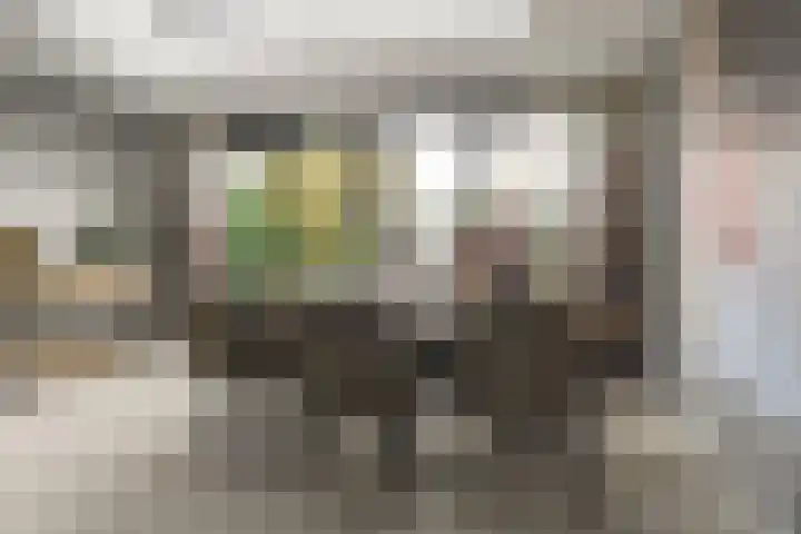Schegcamp 11 Houten thumbnail 14