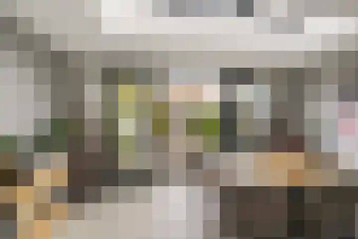 Schegcamp 11 Houten thumbnail 15