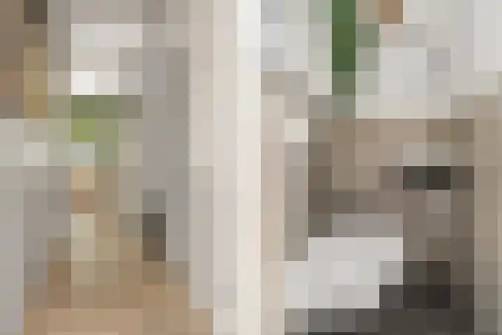 Schegcamp 11 Houten thumbnail 16