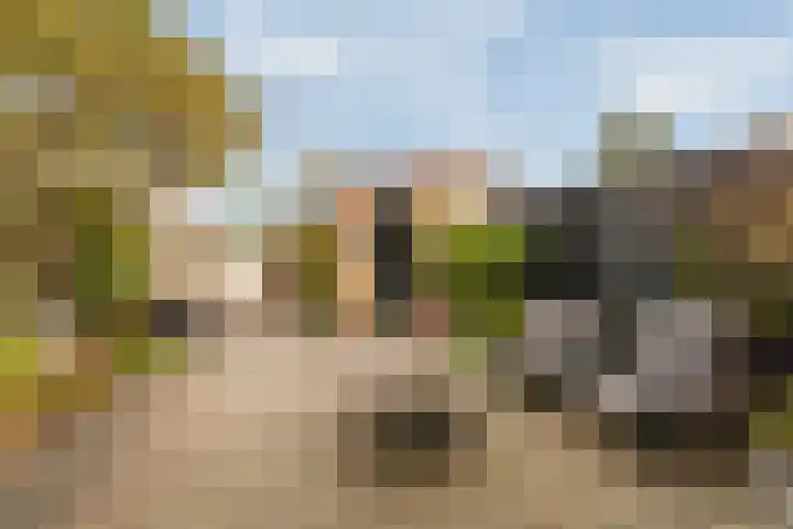 Schegcamp 11 Houten thumbnail 17