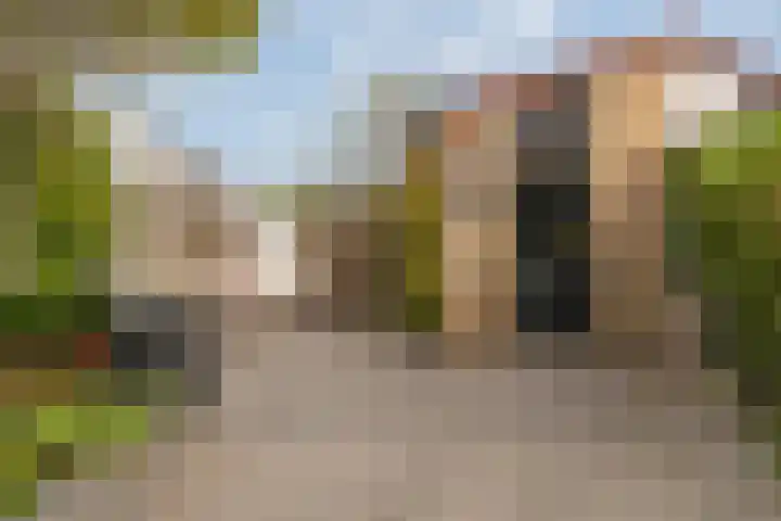 Schegcamp 11 Houten thumbnail 18