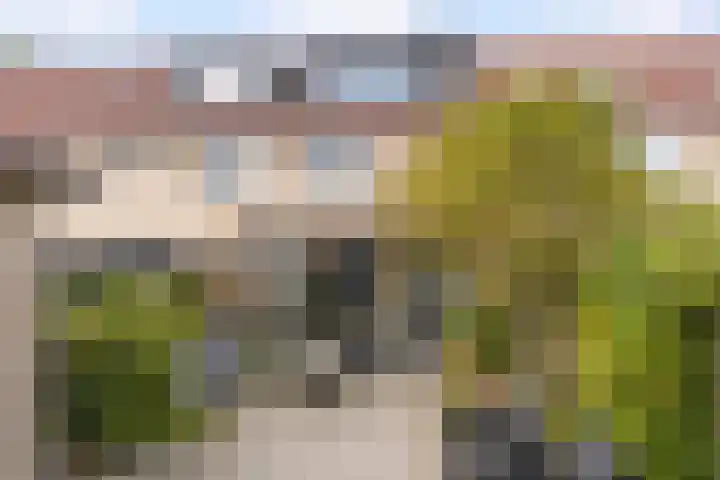 Schegcamp 11 Houten thumbnail 19