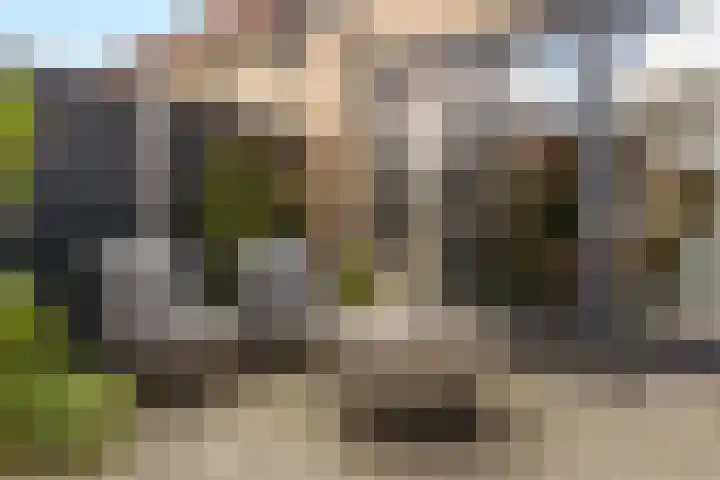 Schegcamp 11 Houten thumbnail 20