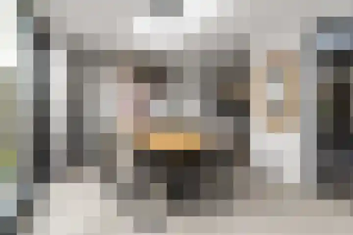 Schegcamp 11 Houten thumbnail 21