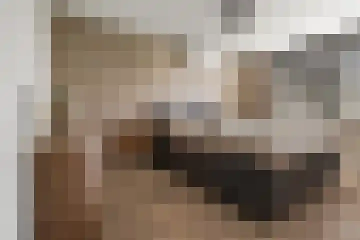 Schegcamp 11 Houten thumbnail 23