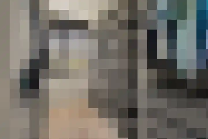 Schegcamp 11 Houten thumbnail 24