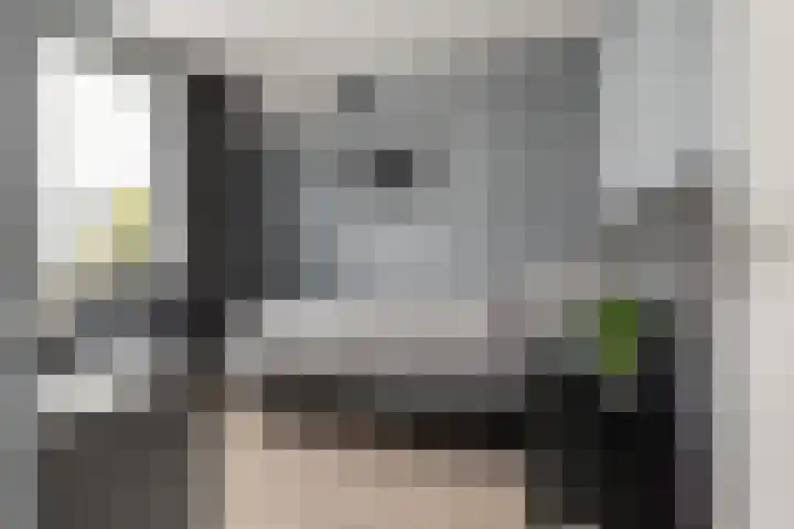 Schegcamp 11 Houten thumbnail 25
