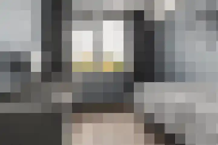 Schegcamp 11 Houten thumbnail 26