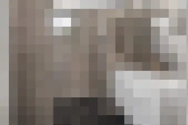 Schegcamp 11 Houten thumbnail 27