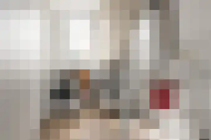 Schegcamp 11 Houten thumbnail 29