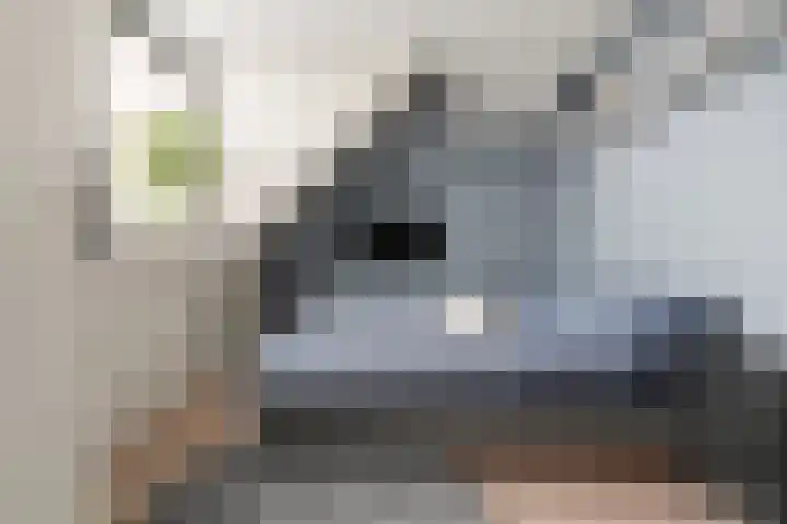 Schegcamp 11 Houten thumbnail 30