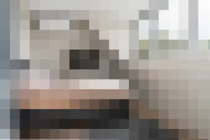Schegcamp 11 Houten thumbnail 31