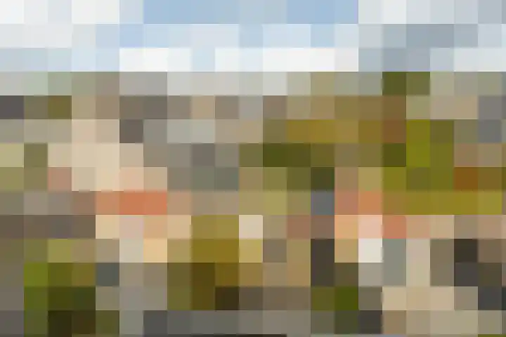 Schegcamp 11 Houten thumbnail 32