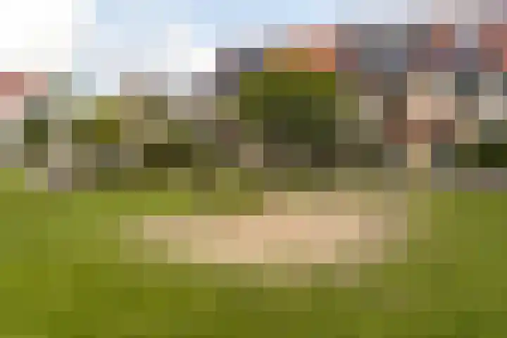 Schegcamp 11 Houten thumbnail 33