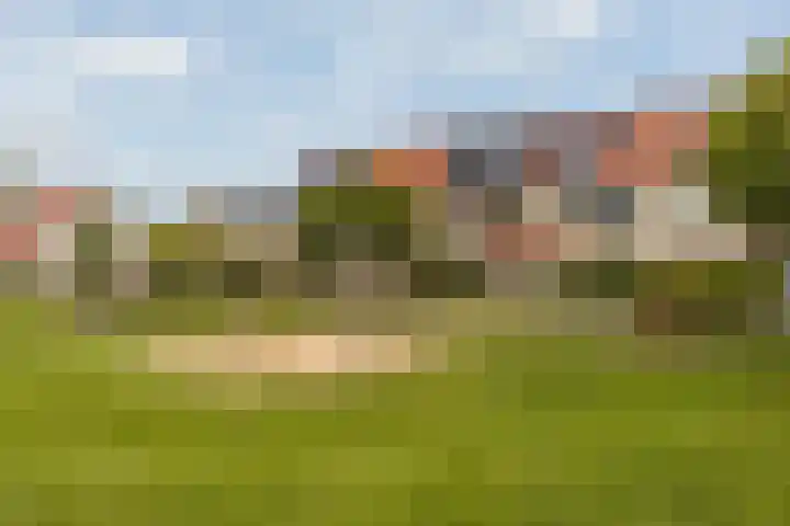 Schegcamp 11 Houten thumbnail 34