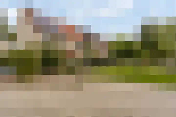 Schegcamp 11 Houten thumbnail 35