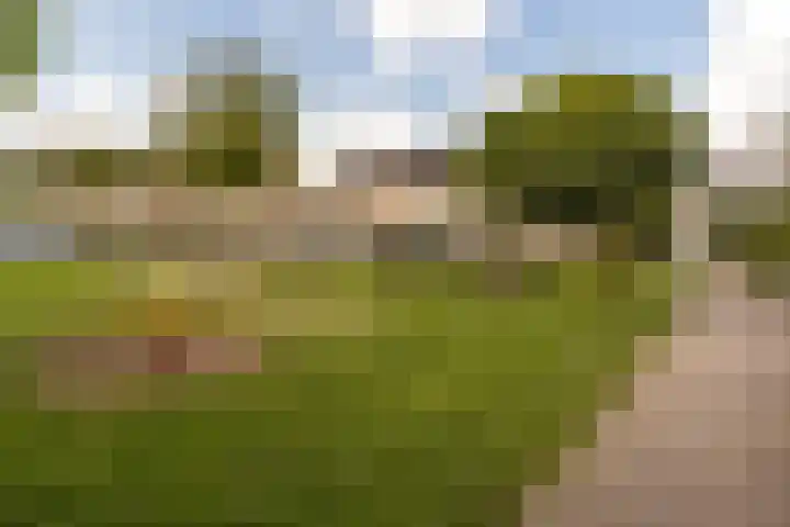 Schegcamp 11 Houten thumbnail 36