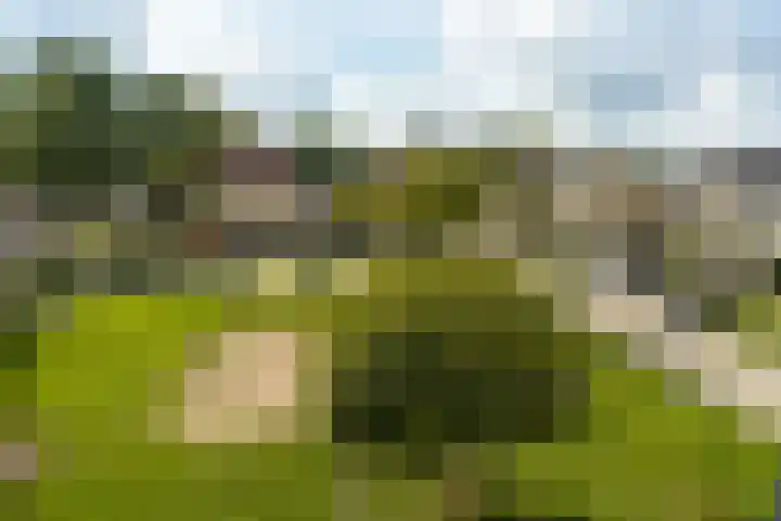 Schegcamp 11 Houten thumbnail 37
