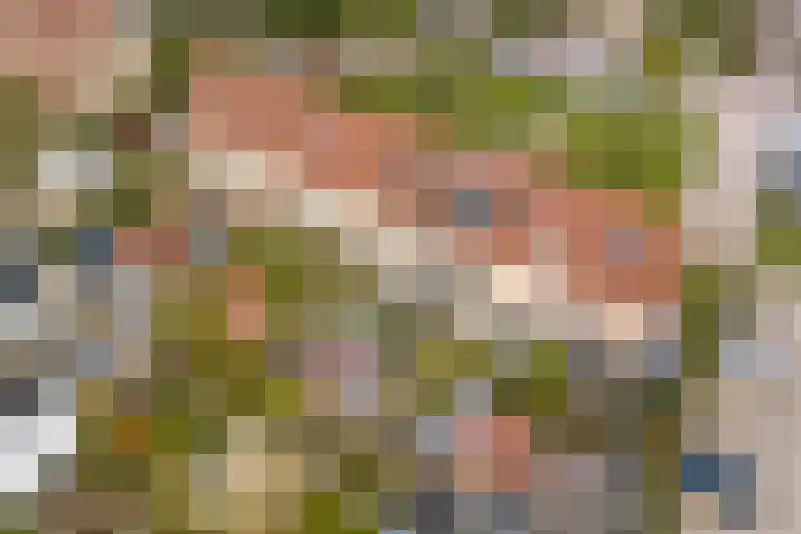 Schegcamp 11 Houten thumbnail 38