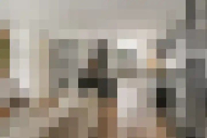 Schegcamp 11 Houten thumbnail 5