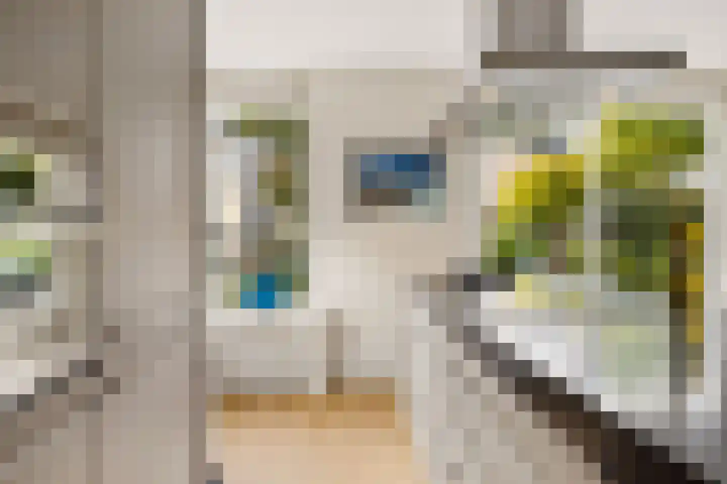 Schegcamp 30 Houten thumbnail 13