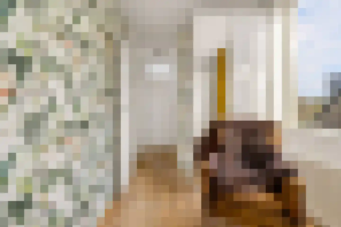 Schegcamp 30 Houten thumbnail 22