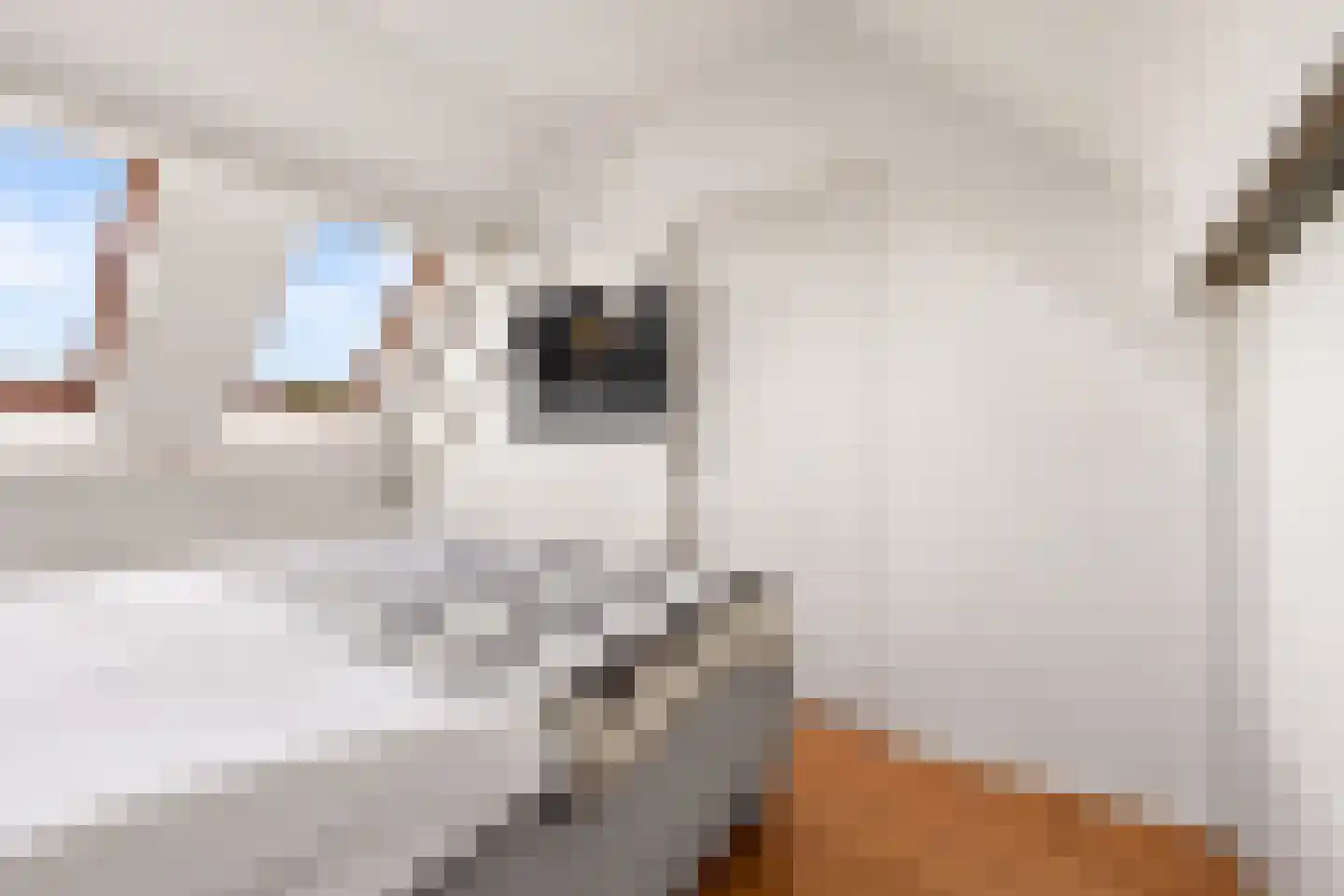 Schegcamp 30 Houten thumbnail 27