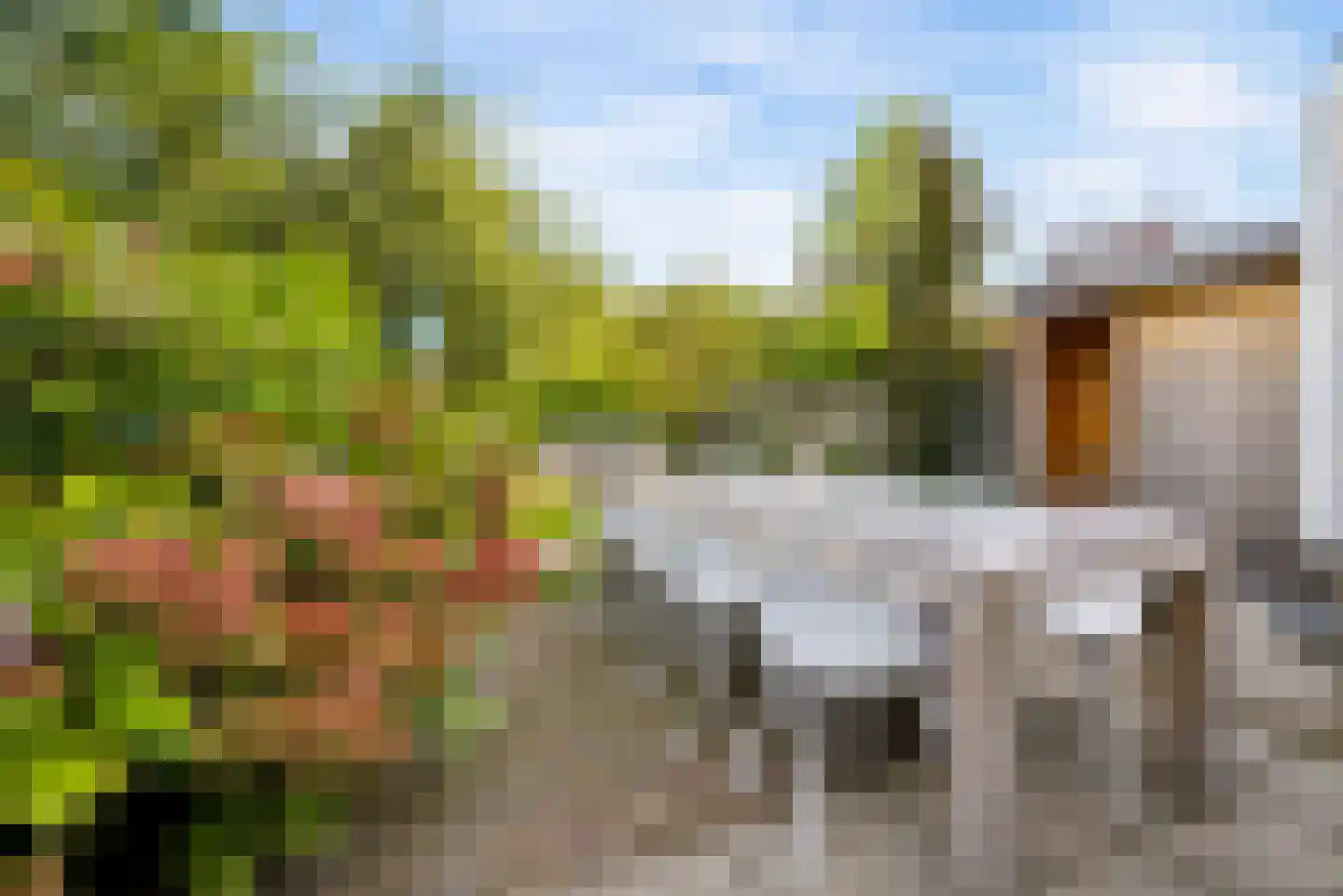 Schegcamp 30 Houten thumbnail 29