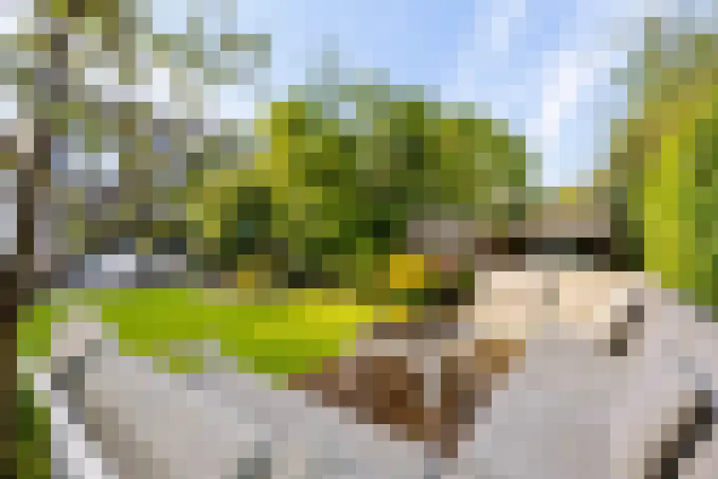 Schegcamp 30 Houten thumbnail 32