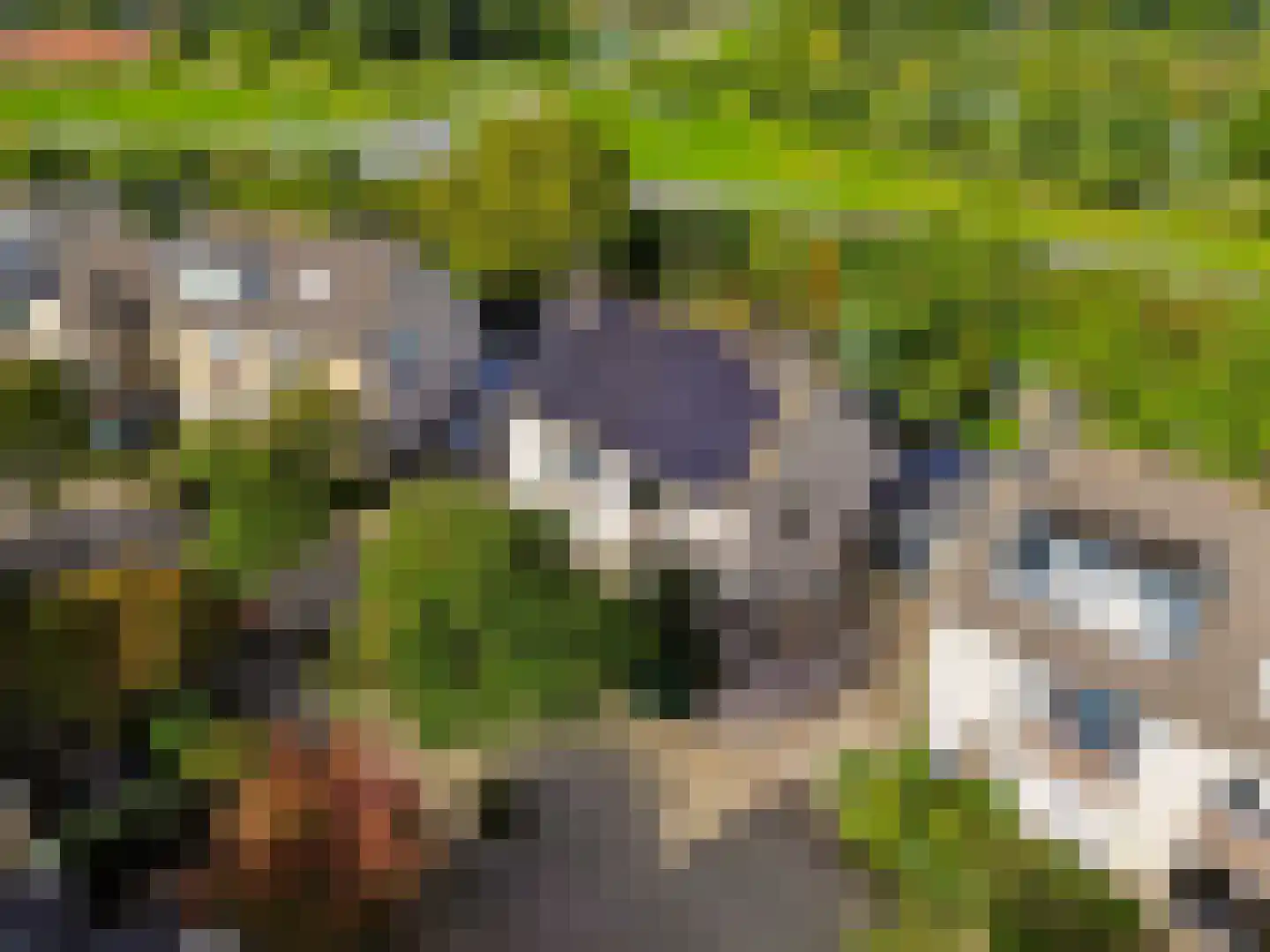 Schegcamp 30 Houten thumbnail 33