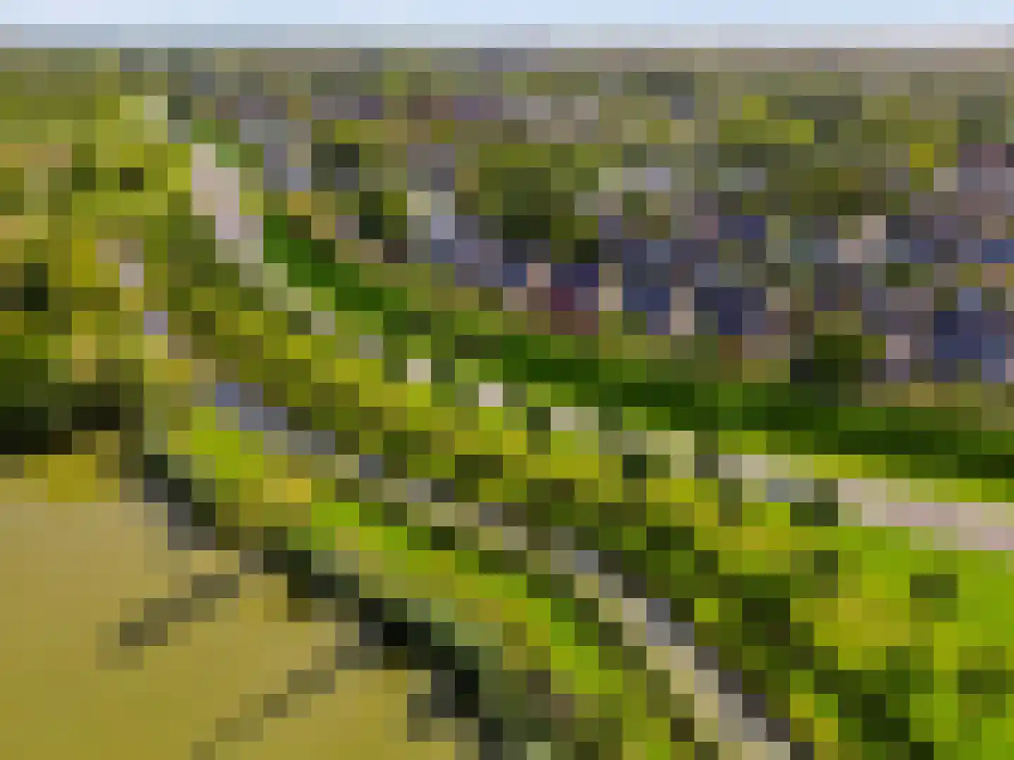 Schegcamp 30 Houten thumbnail 36