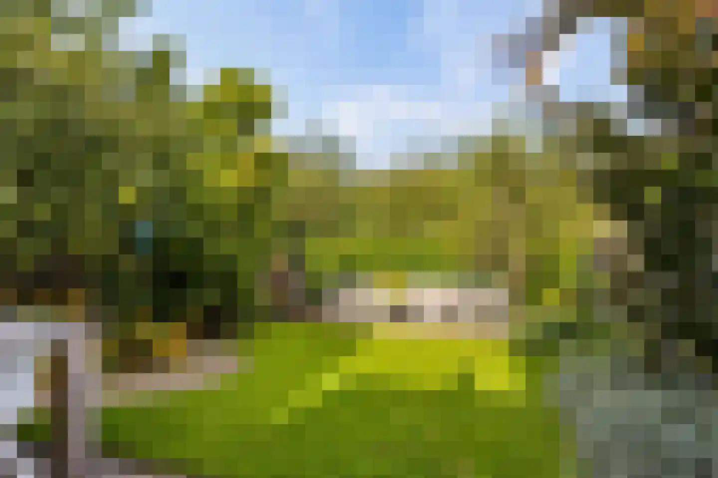 Schegcamp 30 Houten thumbnail 6