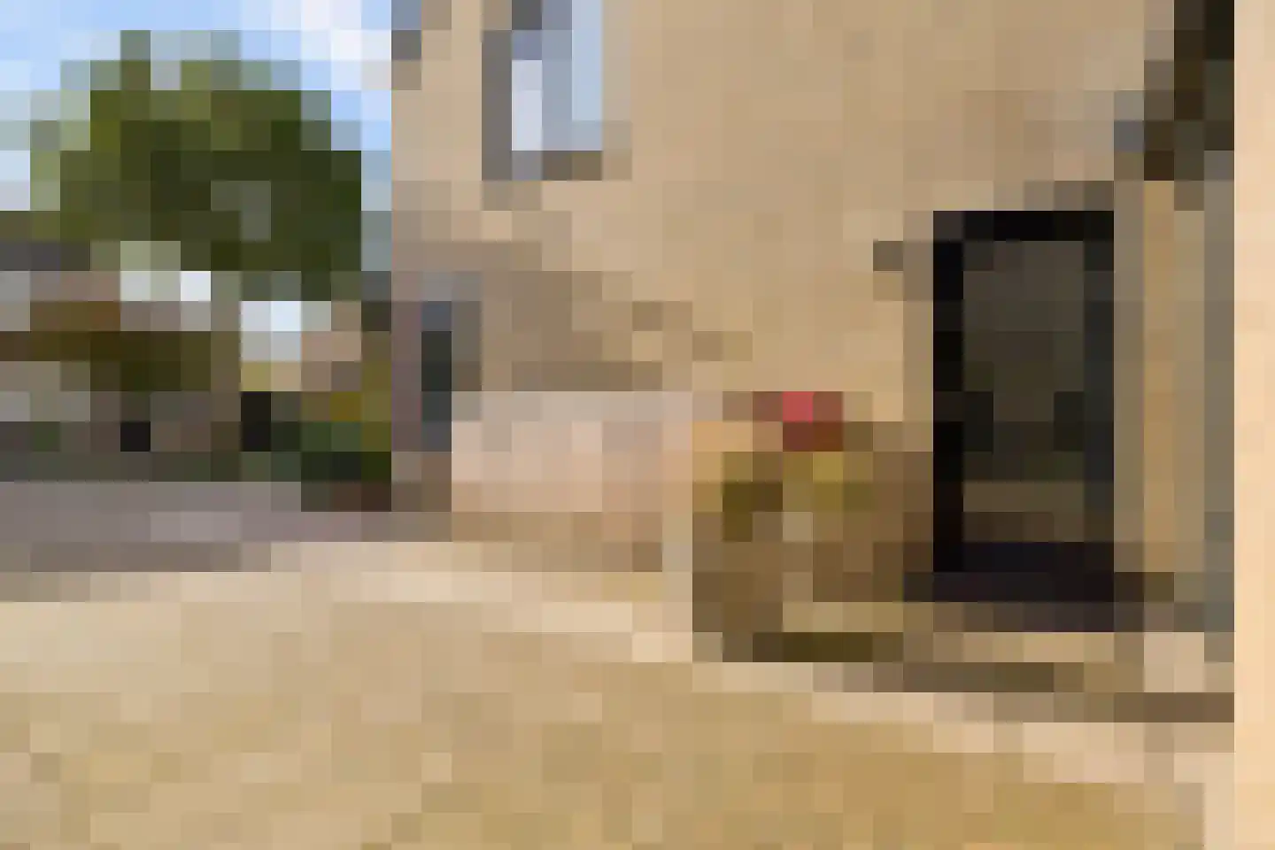 Schegcamp 30 Houten thumbnail 8