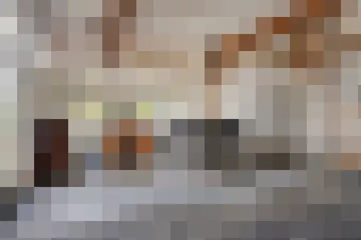 Scheggertdijk 39 Almen thumbnail 18