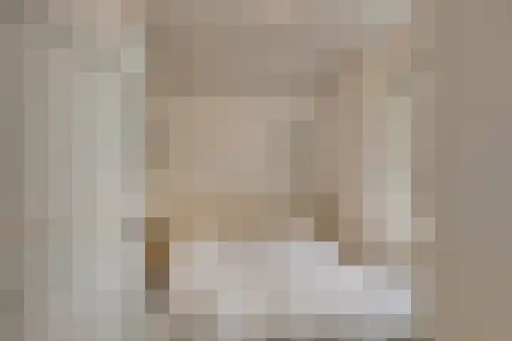 Scheggertdijk 39 Almen thumbnail 19