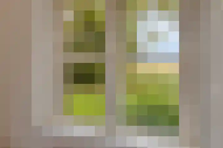 Scheggertdijk 39 Almen thumbnail 20