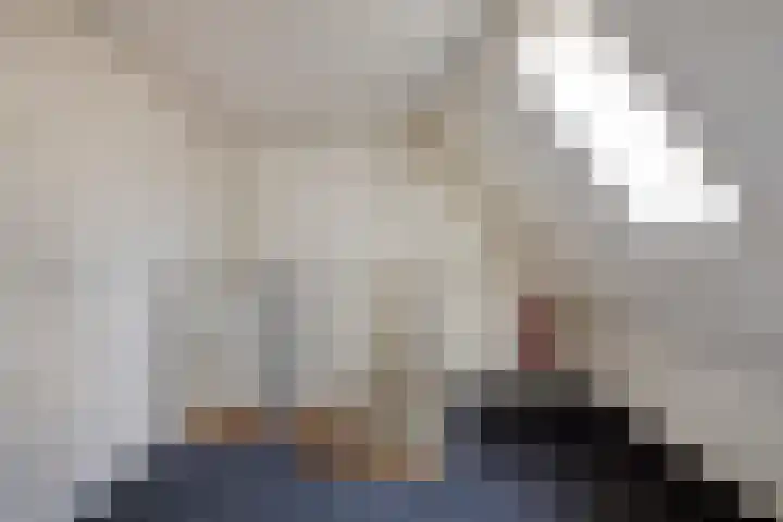 Scheggertdijk 39 Almen thumbnail 25