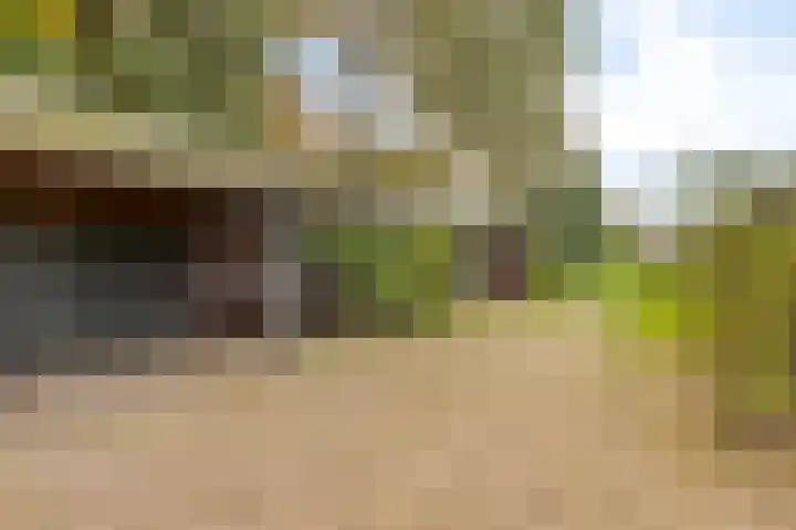 Scheggertdijk 39 Almen thumbnail 29