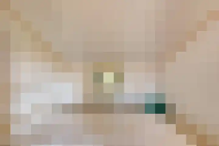 Scheggertdijk 39 Almen thumbnail 33