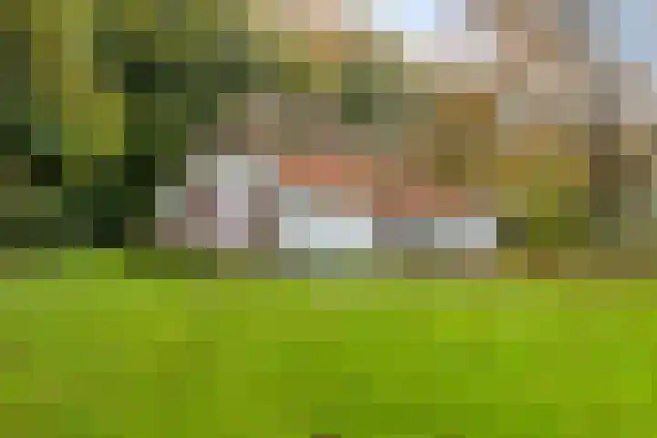 Scheggertdijk 39 Almen thumbnail 34
