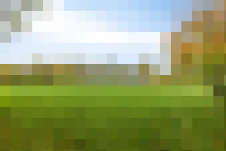 Scheggertdijk 39 Almen thumbnail 36