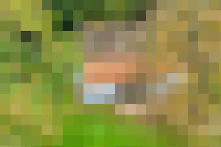 Scheggertdijk 39 Almen thumbnail 37