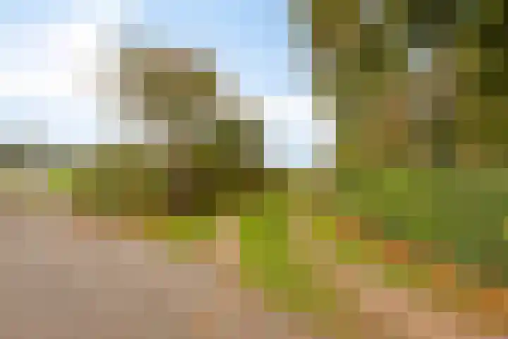 Scheggertdijk 39 Almen thumbnail 39