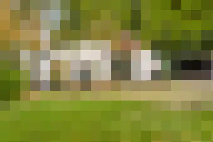 Scheggertdijk 39 Almen thumbnail 4