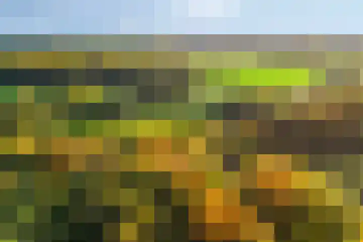 Scheggertdijk 39 Almen thumbnail 46