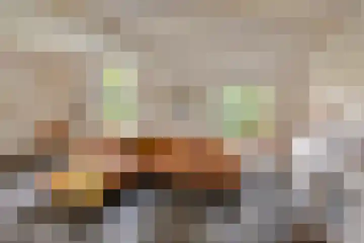 Scheggertdijk 39 Almen thumbnail 6